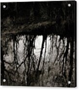 In The Woods Viii Acrylic Print