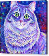 Iridescence - Colorful Gray Tabby Cat Acrylic Print