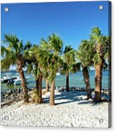 Island Palm Trees And Boats, Pensacola Beach, Florida Acrylic Print