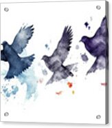 Isolated, Watercolor Bird Silhouette, Dove Flying, Flock Of Bird Acrylic Print