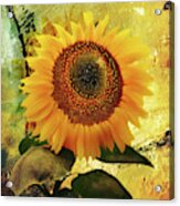 Janine's Sunflower Acrylic Print