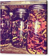 Jars Of Dried Peppers Vintage Style Acrylic Print