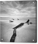 Jekyll Island Driftwood In Black And White Acrylic Print