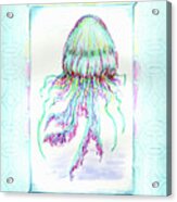 Jellyfish Key West Teal Acrylic Print