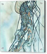 Jellyfish Iii Acrylic Print