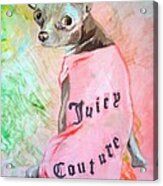 Juicy Couture Pup Acrylic Print