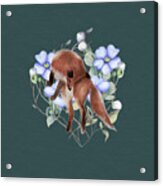 Jumping Fox With Flowers Acrylic Print