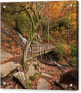 Juney Whank Falls In Autumn Acrylic Print