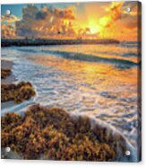 Jupiter Inlet Seaweed Sunrise Over Jetty Acrylic Print