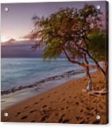 Kaanapali Beach Trees Maui Sunset Acrylic Print