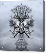 Kaleidoscopic Image Of Winter Tree Branches Acrylic Print