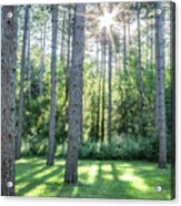 Kettle Moraine Trees Tote Acrylic Print