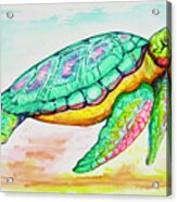 Key West Turtle 2 2021 Acrylic Print