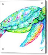 Key West Turtle 2 Study Acrylic Print