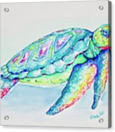 Key West Turtle 2021 Acrylic Print