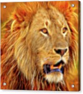 King Of Beasts -stylized Acrylic Print