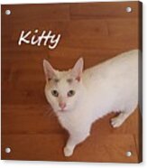 Kitty Acrylic Print