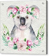Koala With Flowers Acrylic Print