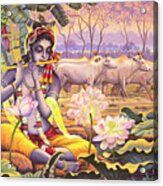 Krishna. Evening Flute Acrylic Print