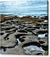 La Jolla Tide Pools Acrylic Print