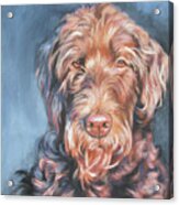 Labradoodle Acrylic Print