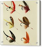 Lake Fishing Flies Vi From Favorite Flies And Their Histories Acrylic Print