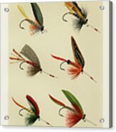 Lake Fishing Flies Vii From Favorite Flies And Their Histories Acrylic Print