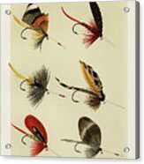 Lake Fishing Flies Viii From Favorite Flies And Their Histories Acrylic Print