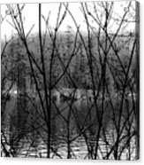 Lake Through Tree Acrylic Print