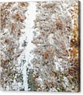 Landscape Photography  - Winter Hiking Trails Acrylic Print