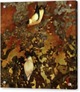 Lantern Chinoiserie Goldfinches And Berries Acrylic Print