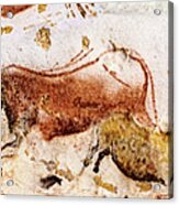Lascaux Cows Horses And Deer Acrylic Print