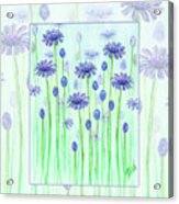 Lavender Flowers Acrylic Print