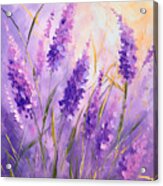 Lavender Impression - Lavender Flowers Art Acrylic Print