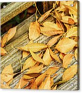 Leaves On A Park Bench-002-c Acrylic Print