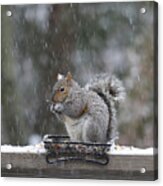 Let It Snow Acrylic Print