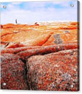 Lichen On Rocks Bay Of Fires Acrylic Print