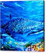 Life Undersea Acrylic Print