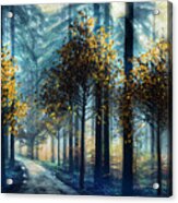Light Through The Trees At A Blue Dawn Acrylic Print