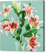 Lilies 6230 Acrylic Print