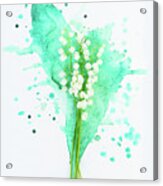 Lilly Of The Valley On Watercolor Acrylic Print