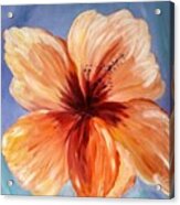 Lily Beauty Acrylic Print