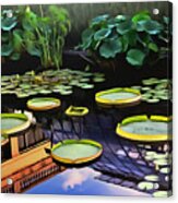 Lily Pond With Reflection Acrylic Print