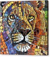 Lion Glass Mosaic Acrylic Print