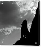 Lion King Shadow. Angkor Wat. Cambodia Acrylic Print