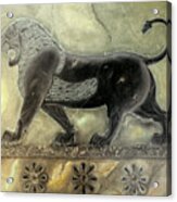 Lion Of Achaemenid Acrylic Print