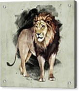Lion Watercolor Animal Art Painting Acrylic Print
