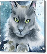 Little C Fluffy Blue Cat Painting Acrylic Print