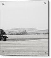 Lone Tree In A Field Acrylic Print