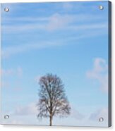 Lone Tree Acrylic Print